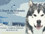 Page de contact