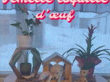 Chiots Goldendoodle à vendre