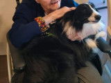 Chien visiteur Ehpad