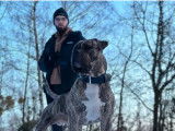 Iron, Amercian Bully XL disponible pour saillie