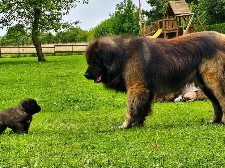 Papa fait connaissance d une de ses filles