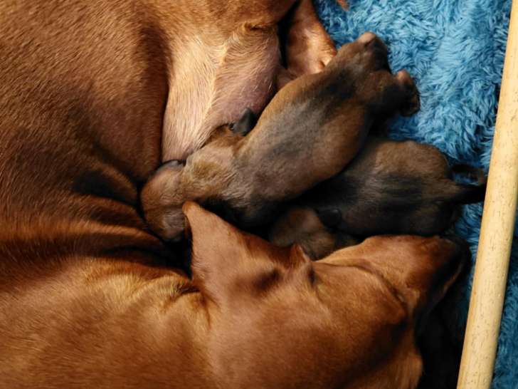 5 bébés sont nés le 27-05-2025