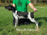Nico De Dancas