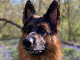 Skye