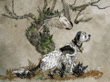 Mâle Setter Anglais trialer disponible pour saillie