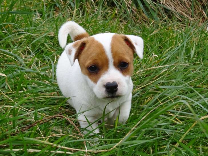 Une adorable femelle