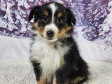 Valter