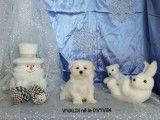 À vendre, 4 chiots Bichons Maltais LOF