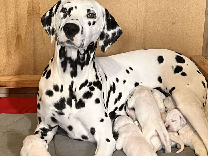 Maman et bébé.