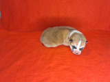 À réserver, 3 chiots Akita Inu (LOF)