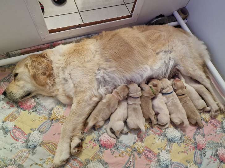 La naissance