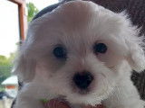 file:///C:/Users/Audrey/AppData/Local/Microsoft/Windows/INetCache/Content.Outlook/KV1EOW5J/1000043232%20(002).jpg