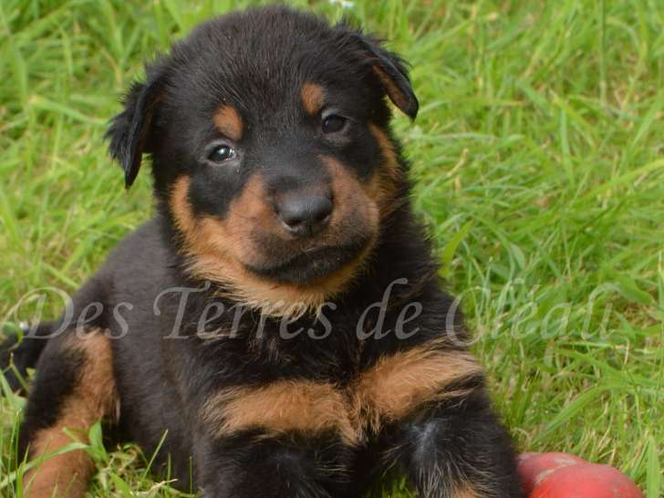 Aslan, le 02/05