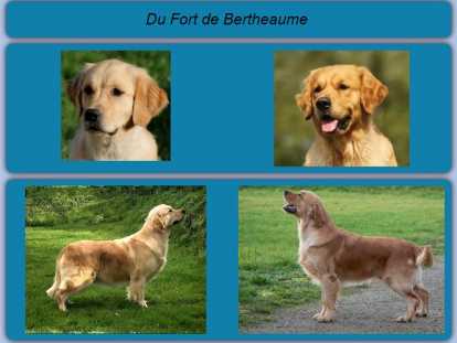 Mariage Schuppa /Shadow