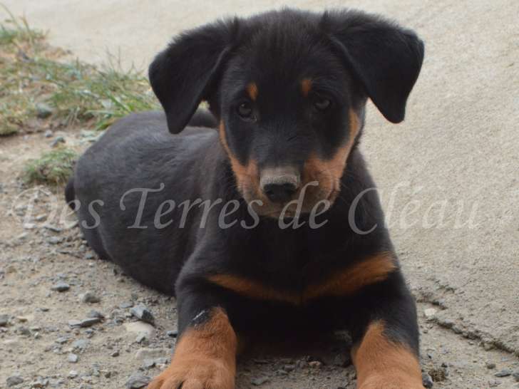 Alpha, le 04/06