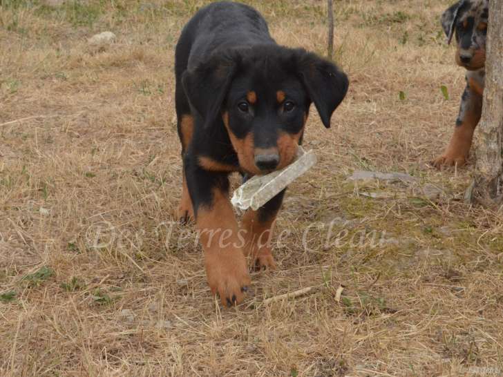 Aragorn, le 04/06