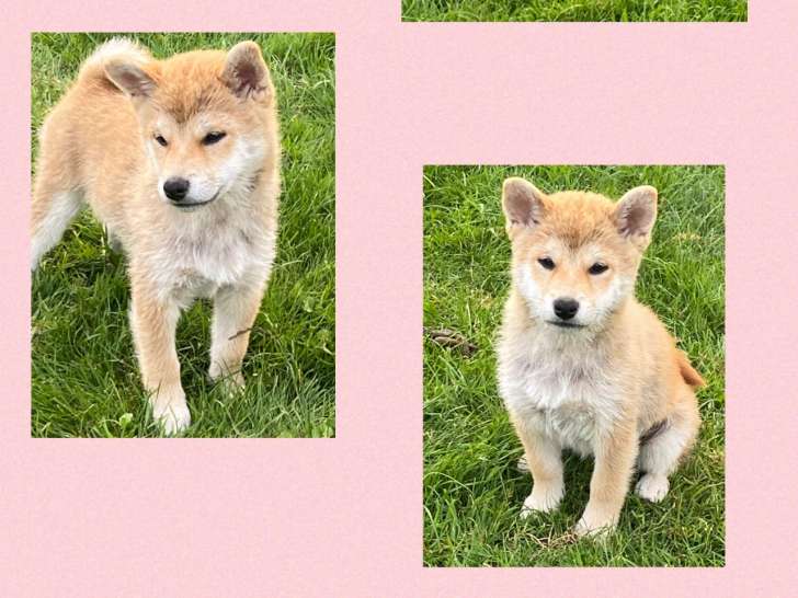 YUKI