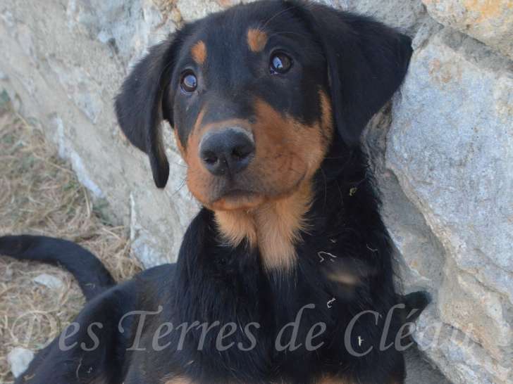 Aragorn, le 25/06/2025
