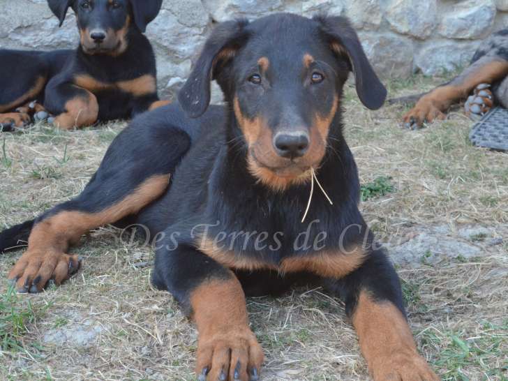 Aramis, le 04/07