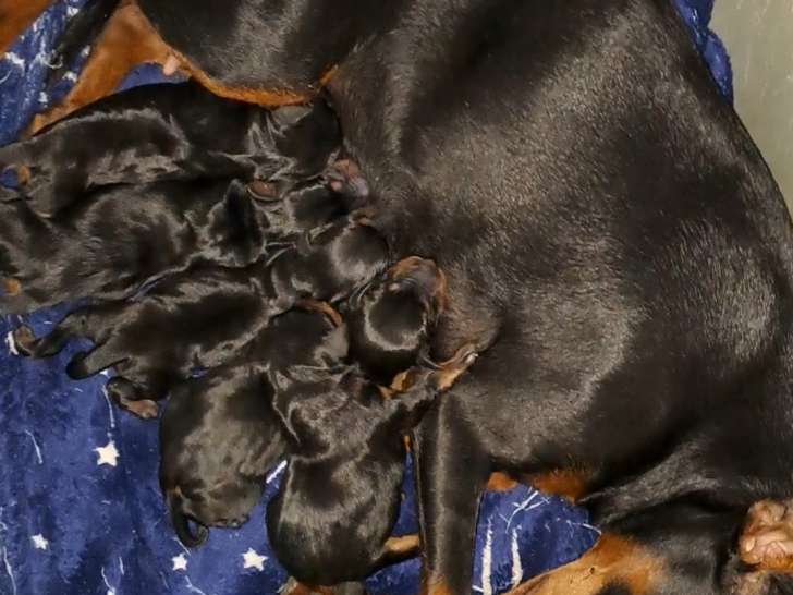 Bébés à 2 jours