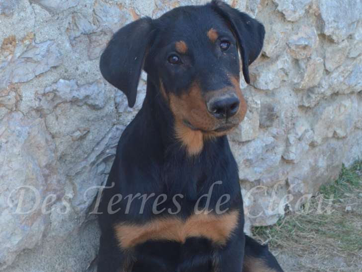 Aragorn, le 13/07