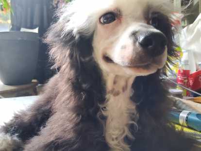 Je souris tout le temps, je suis joyeux et plein de vie ????