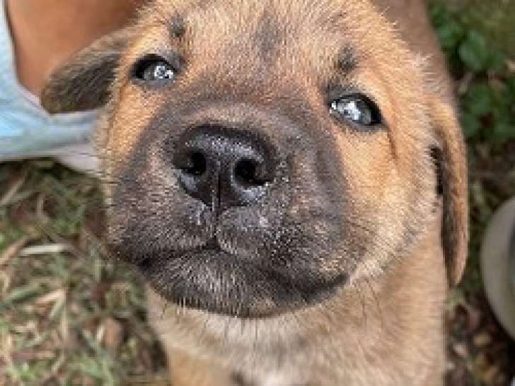 Pablo