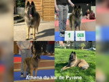 Fille Athena
