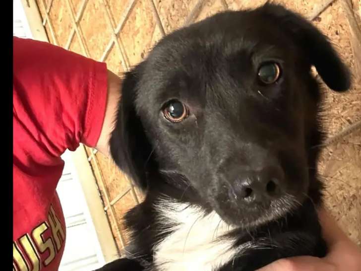 Tasha recherche sa famille urgemment !