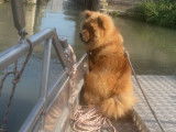 Quand je voyage sur le bateau