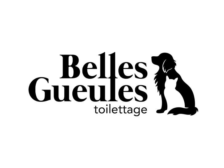 Cherche toiletteur(se) indépendant(e) pour un nouveau salon de toilettage