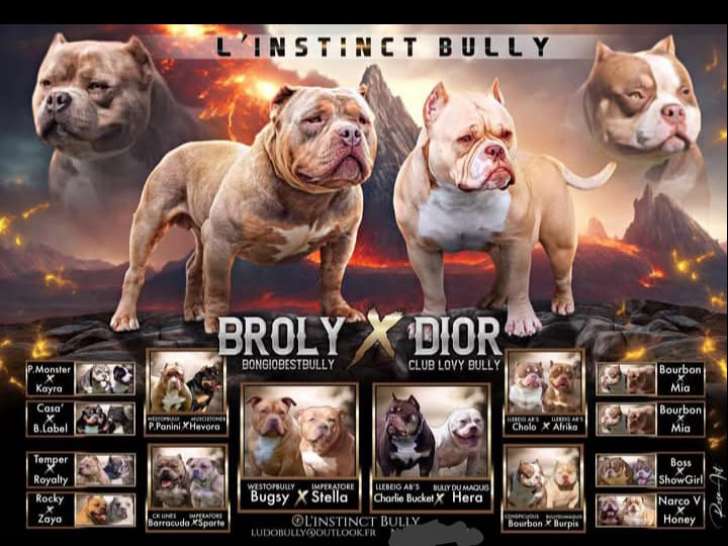 Parents Broly et Dior