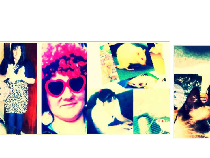 Recherche immersion professionnelle conventionnée