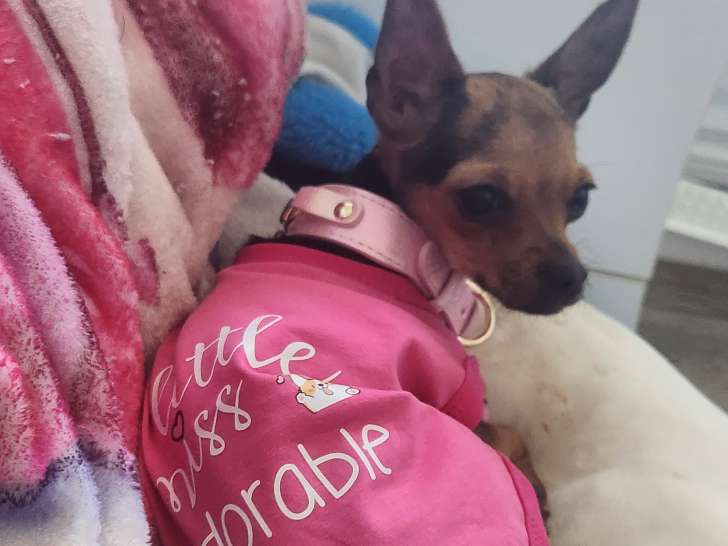 Belle Séphora qui a repris ses forces