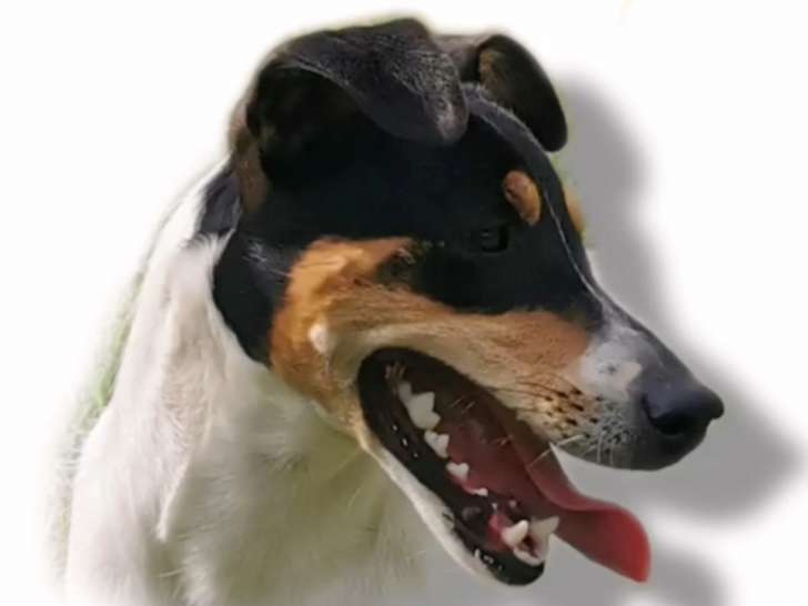 Milki la futur maman (Z La Perla Negra de PuertayFernandez)