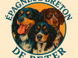 Chiots Épagneul Breton tricolores LOF à naître en Janvier 2026