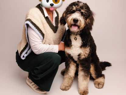 Chiots Ultra Bernedoodle à vendre