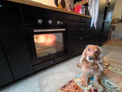 Cooking Thanksgiving turkey with my master