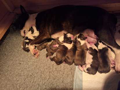 Photo du jour de naissance