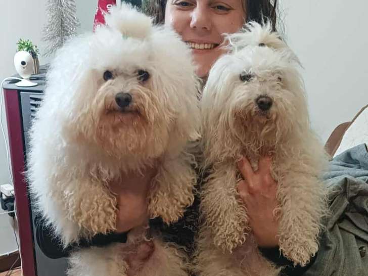 Quentin Di Chesianova et Ulianna Bojangels