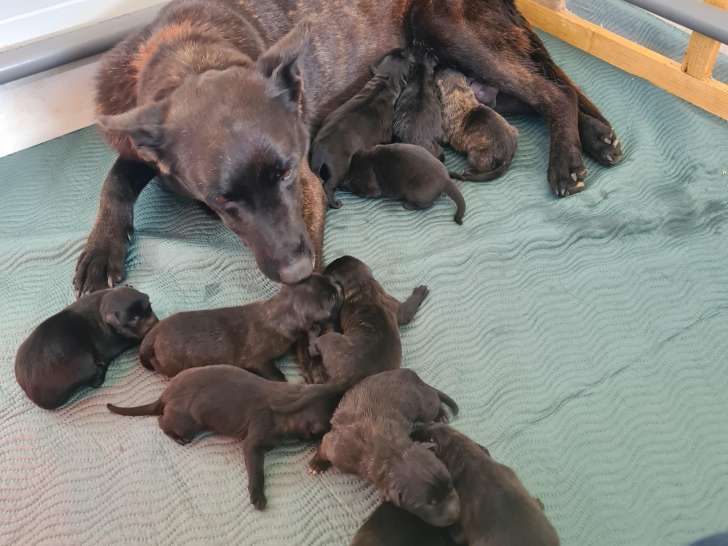 BB Nés le 26 Mars 2026