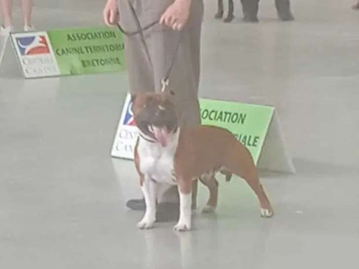 Taïko en Expo