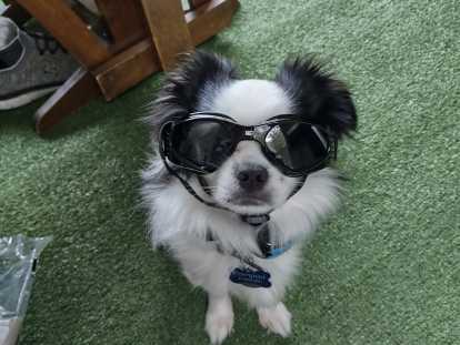 Oh la la, mais regardez-moi, je suis une star !!!