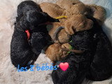 Les bébés 1 semaine