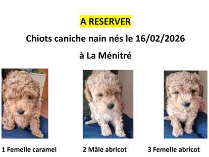 autres photos disponibles