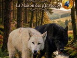 Portée de 7 chiots Chien Loup noirs non LOF à réserver