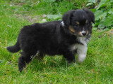 Petit gabarit