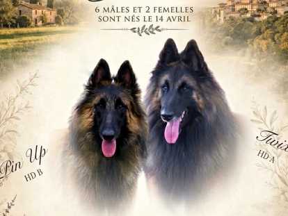 Elevage du Pays des Bastides