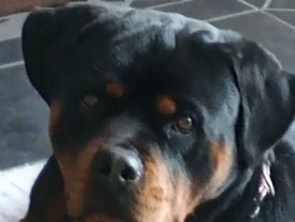 Freya, la Maman
