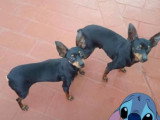 Lola et Lolo